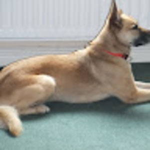 Meet your Posher, John